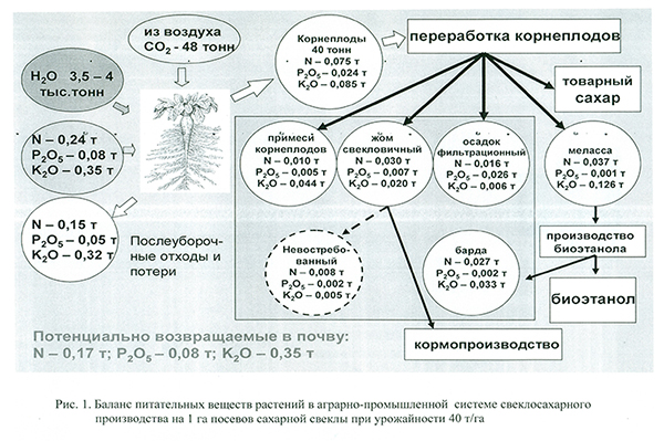 Баланс питательных веществ растений в аграрно-промышленной системе свеклосахарного производства на 1га посевов сахарной свеклы при урожайности 40т/га Баланс питательных веществ растений в аграрно-промышленной системе свеклосахарного производства на 1га посевов сахарной свеклы при урожайности 40т/га