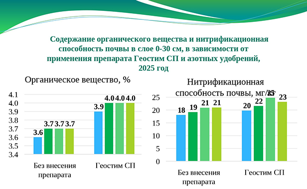Содержание органического вещества и нитрификационная способность почвы в слое 0-30 см в зависимости от применения микробиологического удобрения Геостим СП и азотных удобрений в 2025 году Содержание органического вещества и нитрификационная способность почвы в слое 0-30 см в зависимости от применения микробиологического удобрения Геостим СП и азотных удобрений в 2025 году