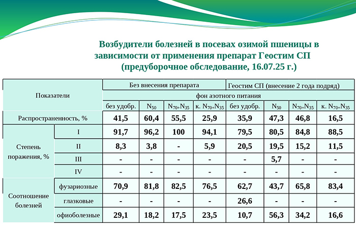 Возбудители болезней в посевах озимой пшеницы в зависимости от применения препарата Геостим СП (предуборочной исследование, 16.07.2025г.) Возбудители болезней в посевах озимой пшеницы в зависимости от применения препарата Геостим СП (предуборочной исследование, 16.07.2025г.)