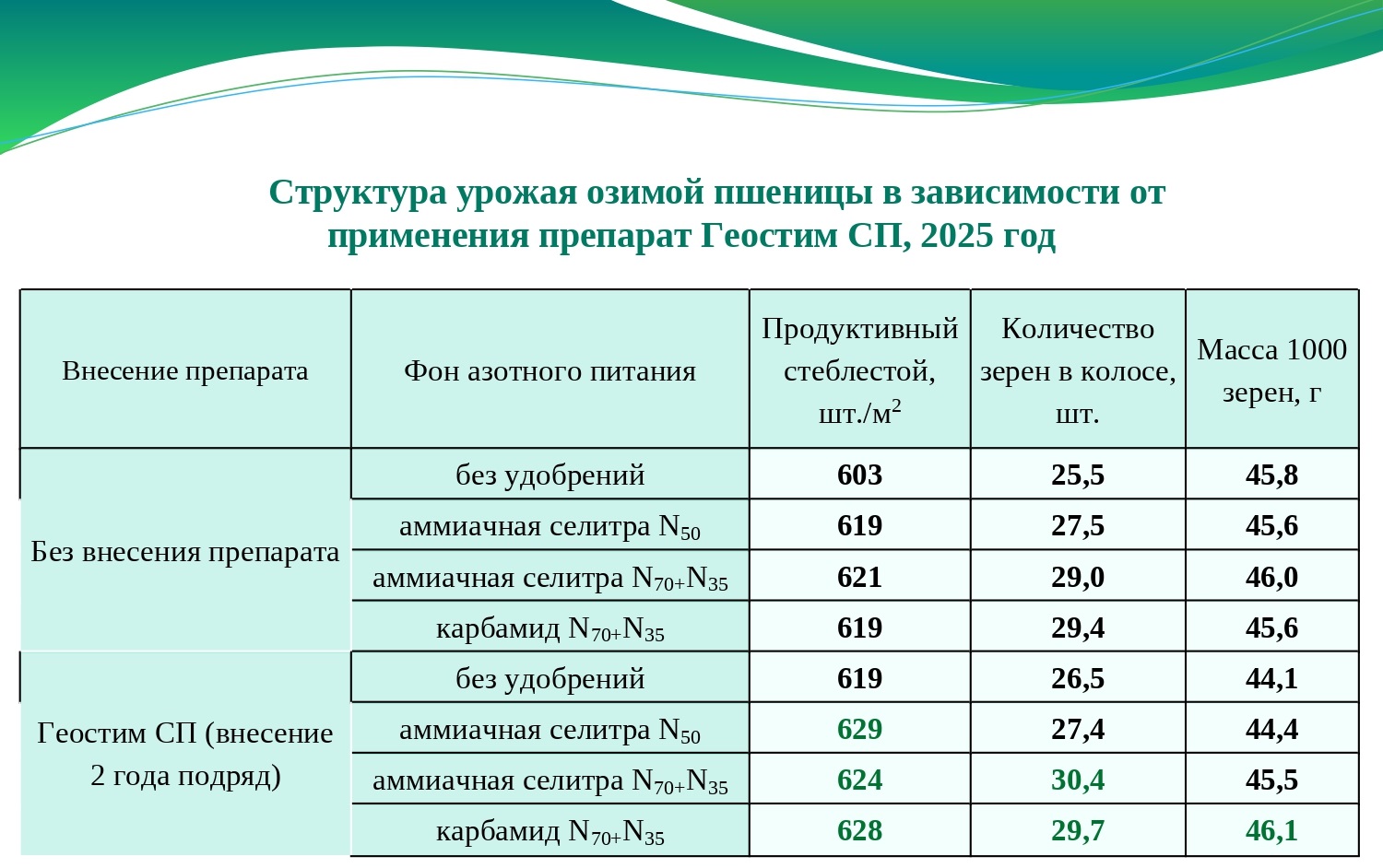 Структура урожая озимой пшеницы в зависимости от применения препарата Геостим СП, 2025 год Структура урожая озимой пшеницы в зависимости от применения препарата Геостим СП, 2025 год